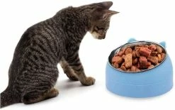 LetsGO Pet Bowl Chaton Cat Bowl Oblique Bouche Dog Bowl Acier Inoxydable Food Feeder Water 15 Degree Tilt Animals 400ml Bleu 5 LetsGO Pet Bowl Chaton Cat Bowl Oblique Bouche Dog Bowl Acier Inoxydable Food Feeder Water 15 Degree Tilt Animals 400ml Bleu -Pet Soin 763901237 max