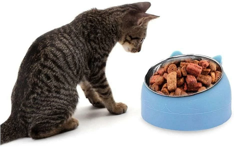 LetsGO Pet Bowl Chaton Cat Bowl Oblique Bouche Dog Bowl Acier Inoxydable Food Feeder Water 15 Degree Tilt Animals 400ml Bleu 3 LetsGO Pet Bowl Chaton Cat Bowl Oblique Bouche Dog Bowl Acier Inoxydable Food Feeder Water 15 Degree Tilt Animals 400ml Bleu – Image 3