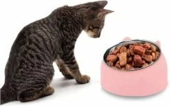 LetsGO Pet Bowl Dog Kitten Cat Bowl Oblique Mouth Bowl Acier Inoxydable Food Feeder Water 15 Degree Tilt Pour Animaux Rose 400ml -Pet Soin 763901474 max
