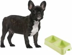 LetsGO Double Dog Bowl - Bol 2-en-1 Pour L’eau, La Nourriture Et Les Croquettes Pour Chiens, Chats, Petits, Moyens Et Grands Animaux Domestiques - Fait De Plastique Facile à Nettoyer (bleu)