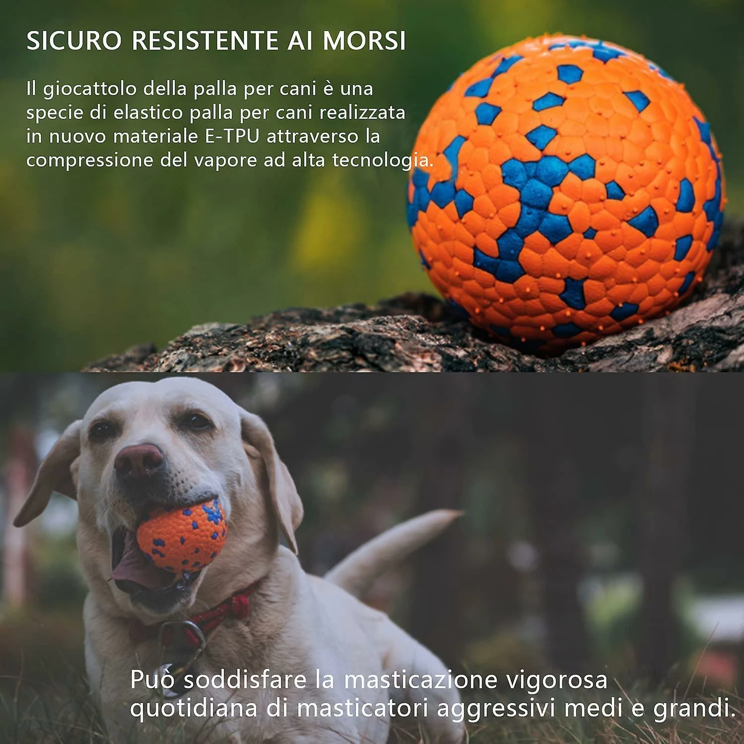 LetsGO Dog Toy Ballsdog Rubber Chew Ball Clean Teeth Non-toxic Resistant Toyinteractive Iq Puzzle Training Toy Ball Pour Petit Chien Moyen 3 LetsGO Dog Toy Ballsdog Rubber Chew Ball Clean Teeth Non-toxic Resistant Toyinteractive Iq Puzzle Training Toy Ball Pour Petit Chien Moyen – Image 3