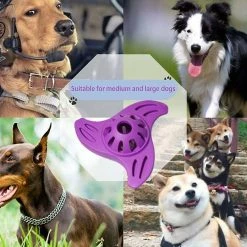 Unbranded Pet Chew Toys, Morse Dents Résistantes Nettoyage Dog Toys Gdrhvfd -Pet Soin 767960829 max
