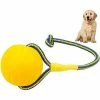 Unbranded Dog Ball, Dog Chew Ball Avec Corde, Dog Interactive Ball Launcher Pour L’exercice D’entraînement De Jeu D’animaux, Diamètre De La Balle 7cm Gdrhvfd