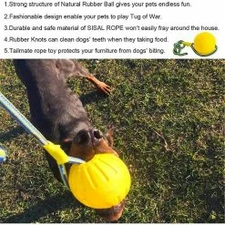 Unbranded Dog Ball, Dog Chew Ball Avec Corde, Dog Interactive Ball Launcher Pour L’exercice D’entraînement De Jeu D’animaux, Diamètre De La Balle 7cm Gdrhvfd 7 Unbranded Dog Ball, Dog Chew Ball Avec Corde, Dog Interactive Ball Launcher Pour L’exercice D’entraînement De Jeu D’animaux, Diamètre De La Balle 7cm Gdrhvfd -Pet Soin 767963224 max