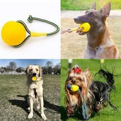 Unbranded Dog Ball, Dog Chew Ball Avec Corde, Dog Interactive Ball Launcher Pour L’exercice D’entraînement De Jeu D’animaux, Diamètre De La Balle 7cm Gdrhvfd 8 Unbranded Dog Ball, Dog Chew Ball Avec Corde, Dog Interactive Ball Launcher Pour L’exercice D’entraînement De Jeu D’animaux, Diamètre De La Balle 7cm Gdrhvfd -Pet Soin 767963347 max