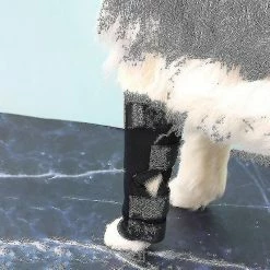 Unbranded 2pcs Dog Leg Brace Dog Canine Leg Wrap Leg Compression Brace Mt -Pet Soin 768366205 max