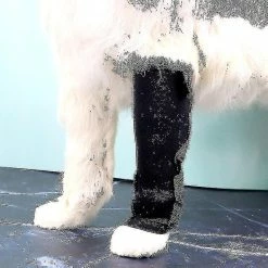 Unbranded 2pcs Dog Leg Brace Dog Canine Leg Wrap Leg Compression Brace Mt -Pet Soin 768366212 max