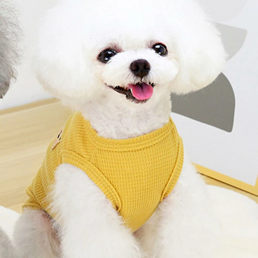 Unbranded 2pcs Teddy Bichon Frise Dog Vêtements Pet Cat Dog Vêtements Et Summer Pet Vest 3 Unbranded 2pcs Teddy Bichon Frise Dog Vêtements Pet Cat Dog Vêtements Et Summer Pet Vest – Image 3