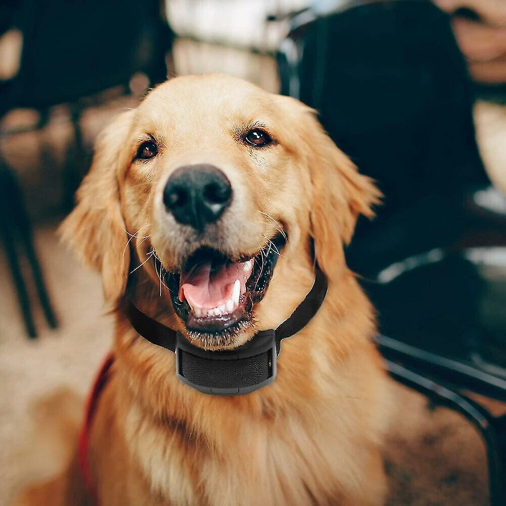 Unbranded Anti Bark Electric Shock Dog E-collar Stop Barking Pet Training Collar 2 Unbranded Anti Bark Electric Shock Dog E-collar Stop Barking Pet Training Collar – Image 2