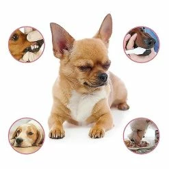 Unbranded Pet Spray Dog Soins Bucco-dentaires Mauvaise Haleine Dents Nettoyage Haleine Assainisseur De Plaque Détrait -Pet Soin 769260547 max