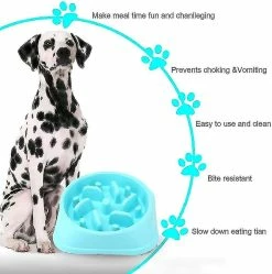 Unbranded Slow Dog Slow Bowl Anti-dérapant Interactif Fun Fe 5 Unbranded Slow Dog Slow Bowl Anti-dérapant Interactif Fun Fe -Pet Soin 772171814 max