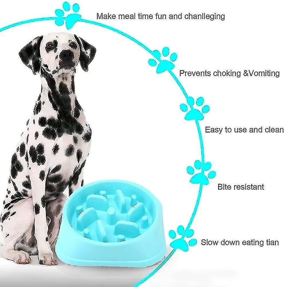 Unbranded Slow Dog Slow Bowl Anti-dérapant Interactif Fun Fe 2 Unbranded Slow Dog Slow Bowl Anti-dérapant Interactif Fun Fe – Image 2