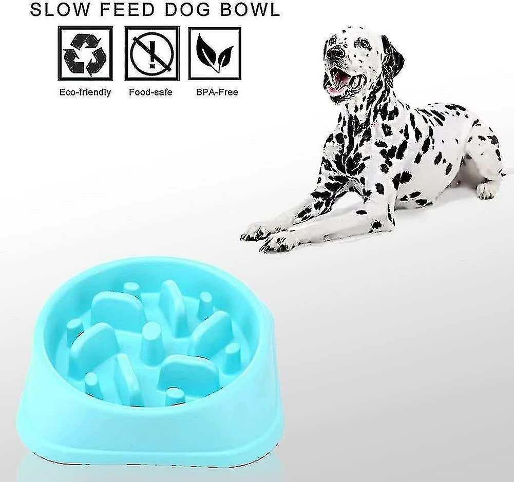 Unbranded Slow Dog Slow Bowl Anti-dérapant Interactif Fun Fe 4 Unbranded Slow Dog Slow Bowl Anti-dérapant Interactif Fun Fe – Image 4