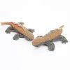Unbranded 1pcs Dog P Lizard Squeak Toy, S Et Medium Dog Interactive Chew Toy