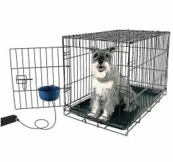 Unbranded Pet Ed Bowl Dog Bowl Hanging Usb Charging Usb Ed Pet Bowl 600ml Pet Electric Ed Bowl 6 Unbranded Pet Ed Bowl Dog Bowl Hanging Usb Charging Usb Ed Pet Bowl 600ml Pet Electric Ed Bowl -Pet Soin 772192357 max