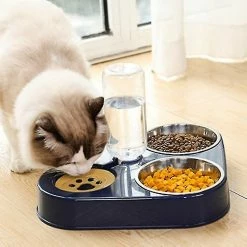 Unbranded 3 En 1 Dog Er Bowl Avec Dog Bottle Cat Automatic Bowl Cat Food Bowl Pet Less Steel Double 3 Bowls -size - 6 Unbranded 3 En 1 Dog Er Bowl Avec Dog Bottle Cat Automatic Bowl Cat Food Bowl Pet Less Steel Double 3 Bowls -size - -Pet Soin 772201838 max