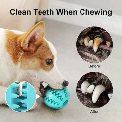 Unbranded Dog Toy Ball, Jeux De Balle De Chien, Chien Rubber Chew Ball Clean Teeth Jouet Non Toxique Résistant Aux Morsures 9 Unbranded Dog Toy Ball, Jeux De Balle De Chien, Chien Rubber Chew Ball Clean Teeth Jouet Non Toxique Résistant Aux Morsures -Pet Soin 776366255 max