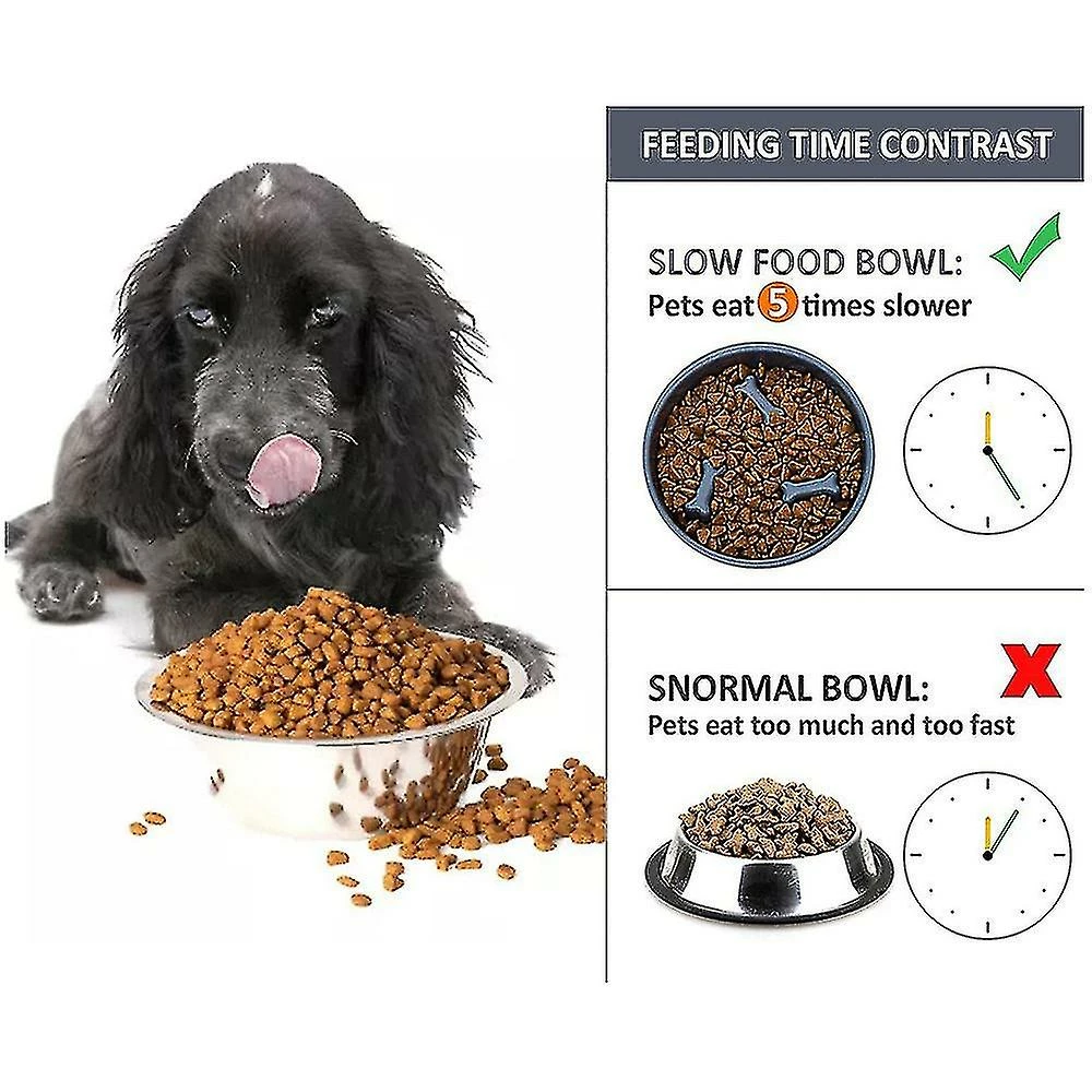 Unbranded Dog Feeding Bowl Pet Bowl Avec Steel Water Bowl Puppy, Orange 5 Unbranded Dog Feeding Bowl Pet Bowl Avec Steel Water Bowl Puppy, Orange – Image 5