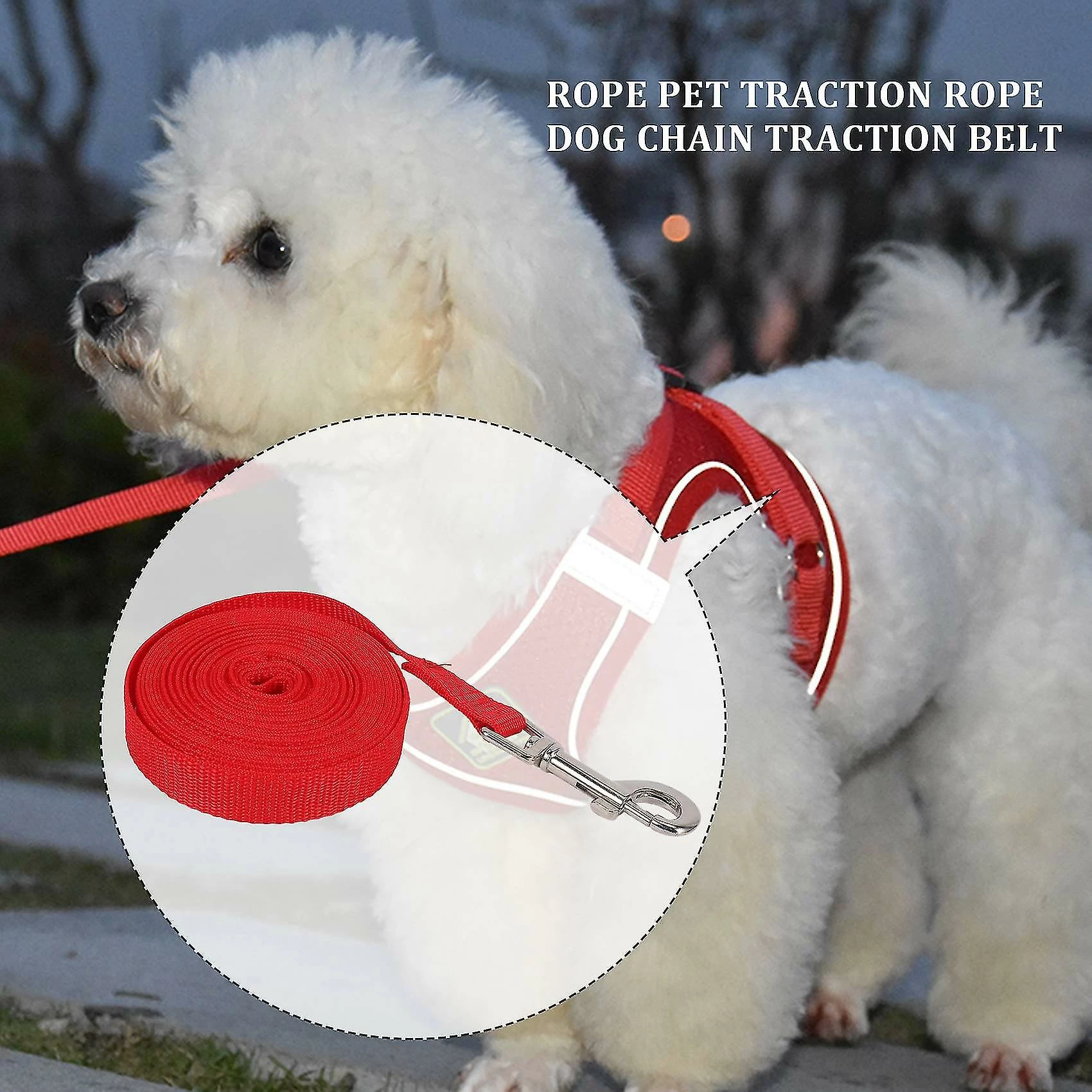 Unbranded Towline Leash Recherche Leash Leash Leash Training Leash Dog Leash Couleur: Rouge Longueur: 5m 2 Unbranded Towline Leash Recherche Leash Leash Leash Training Leash Dog Leash Couleur: Rouge Longueur: 5m – Image 2