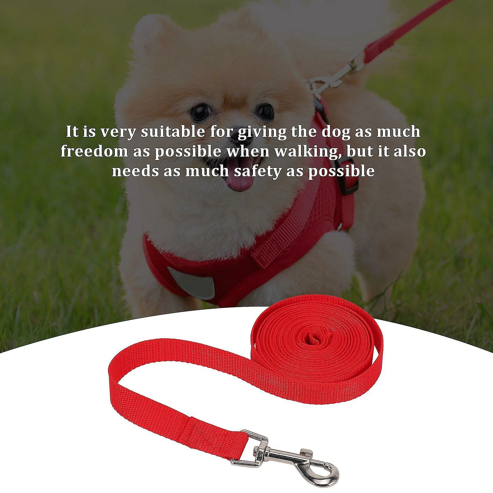 Unbranded Towline Leash Recherche Leash Leash Leash Training Leash Dog Leash Couleur: Rouge Longueur: 5m 3 Unbranded Towline Leash Recherche Leash Leash Leash Training Leash Dog Leash Couleur: Rouge Longueur: 5m – Image 3