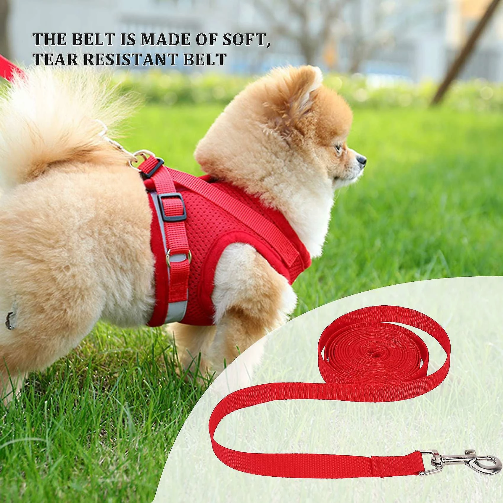 Unbranded Towline Leash Recherche Leash Leash Leash Training Leash Dog Leash Couleur: Rouge Longueur: 5m 5 Unbranded Towline Leash Recherche Leash Leash Leash Training Leash Dog Leash Couleur: Rouge Longueur: 5m – Image 5