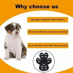 Unbranded Sysy Pet Invisible Foot Sticker Non-slip Foot Sticker Scratch Proof Hot Dust Waterproof Dog Pad S -Pet Soin 778850711 max