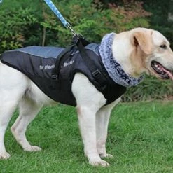 Unbranded Sysy New Pet Clothes Reflective Warm Dog Fur Collar Cotton Padded Clothes 3xl 7 Unbranded Sysy New Pet Clothes Reflective Warm Dog Fur Collar Cotton Padded Clothes 3xl -Pet Soin 778873267 max