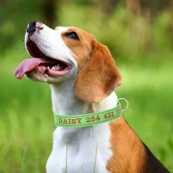 Unbranded Sysy Personalized Dog Collar, Custom Embroidered Pet Name And Phone Number, Quick Release D-ring Gra -Pet Soin 778877666 max