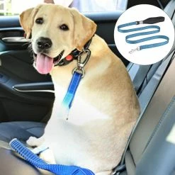 Unbranded Sysy Small, Medium And Large Dogs Nylon Out Traction Rope Walking Dog Rope Reflective Traction Belt 8 Unbranded Sysy Small, Medium And Large Dogs Nylon Out Traction Rope Walking Dog Rope Reflective Traction Belt -Pet Soin 778878999 max