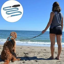 Unbranded Sysy Small, Medium And Large Dogs Nylon Out Traction Rope Walking Dog Rope Reflective Traction Belt 9 Unbranded Sysy Small, Medium And Large Dogs Nylon Out Traction Rope Walking Dog Rope Reflective Traction Belt -Pet Soin 778879045 max