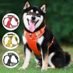 Unbranded Sysy No Pull Dog Harness Adjustable Reflective Oxford Easy Control Small Medium Large Dog Harness BL -Pet Soin 778879591 max