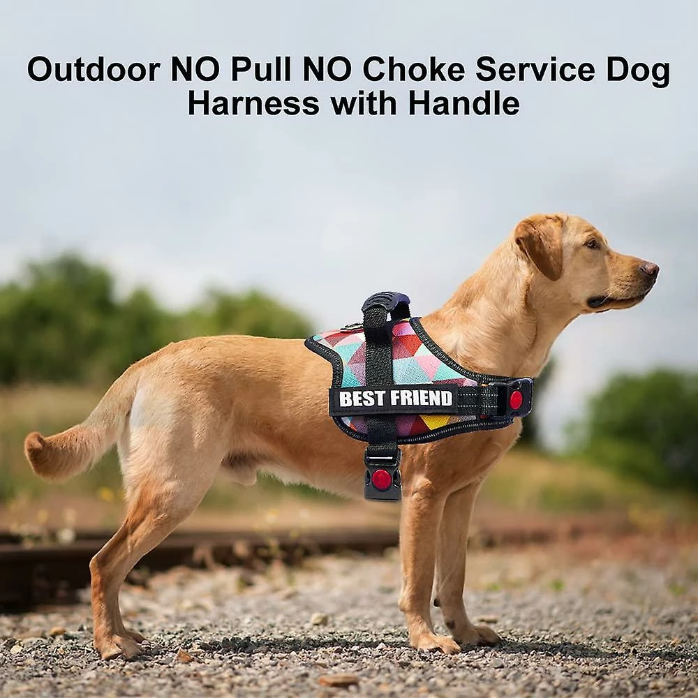 Unbranded Sysy Dog Harness, Service Dog Vest, No Pull No Choke Dog Vest For Training Walking Jogging COLOR CHE 4 Unbranded Sysy Dog Harness, Service Dog Vest, No Pull No Choke Dog Vest For Training Walking Jogging COLOR CHE – Image 4