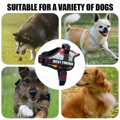 Unbranded Sysy Dog Harness, Service Dog Vest, No Pull No Choke Dog Vest For Training Walking Jogging COLOR CHE 9 Unbranded Sysy Dog Harness, Service Dog Vest, No Pull No Choke Dog Vest For Training Walking Jogging COLOR CHE -Pet Soin 778879697 max