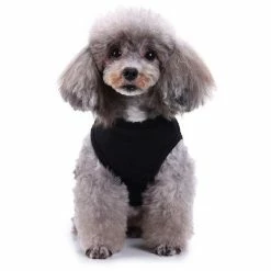 Unbranded Sysy Pet Supplies Dog Clothes Threaded Feet Mommy Print Pet Spring And Summer Clothes M 7 Unbranded Sysy Pet Supplies Dog Clothes Threaded Feet Mommy Print Pet Spring And Summer Clothes M -Pet Soin 778884507 max