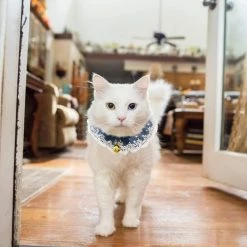 Unbranded Sysy Dog Saliva Towel With Bell Cute Cat Bib Scarf Cat Lace Bib M -Pet Soin 778886480 max