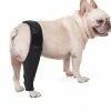 Unbranded Pet Dog Genouillère Genouillère Luxation De La Rotule Arthrite Garde L’articulation Au Chaud Soutien Supplémentaire