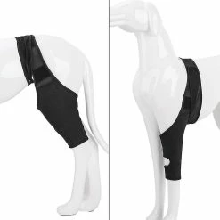 Unbranded Pet Dog Genouillère Genouillère Luxation De La Rotule Arthrite Garde L’articulation Au Chaud Soutien Supplémentaire -Pet Soin 779156878 max