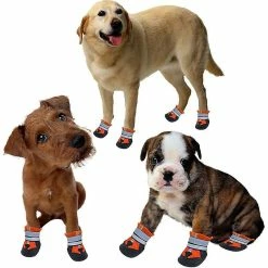 Unbranded Paw Guard Dog Shoes Bottes De Chien Antidérapantes Imperméables Pour Chiens Avec Sangles Réfléchissantes Réglables Chaussures De Chien D’extérieur Pour Petites, Moyennes Et Grandes 8 Unbranded Paw Guard Dog Shoes Bottes De Chien Antidérapantes Imperméables Pour Chiens Avec Sangles Réfléchissantes Réglables Chaussures De Chien D’extérieur Pour Petites, Moyennes Et Grandes -Pet Soin 780423591 max