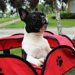 Unbranded Foldable Pet Tent 8 Sections Mesh Puppy Playpen For Dog Cat Rabbit (red, 73 X 73 X 43cm) -Pet Soin 780423888 max