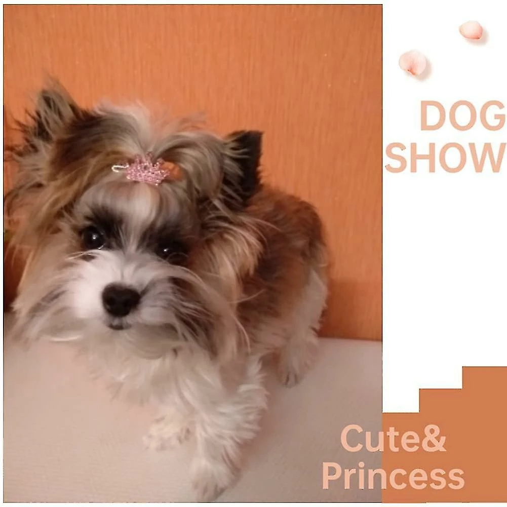 Unbranded 5pcs Puppy Crystal Strass Hair Clip Coiffure Hair Accessoires Dog Headwear Pet Grooming Pro 3 Unbranded 5pcs Puppy Crystal Strass Hair Clip Coiffure Hair Accessoires Dog Headwear Pet Grooming Pro – Image 3