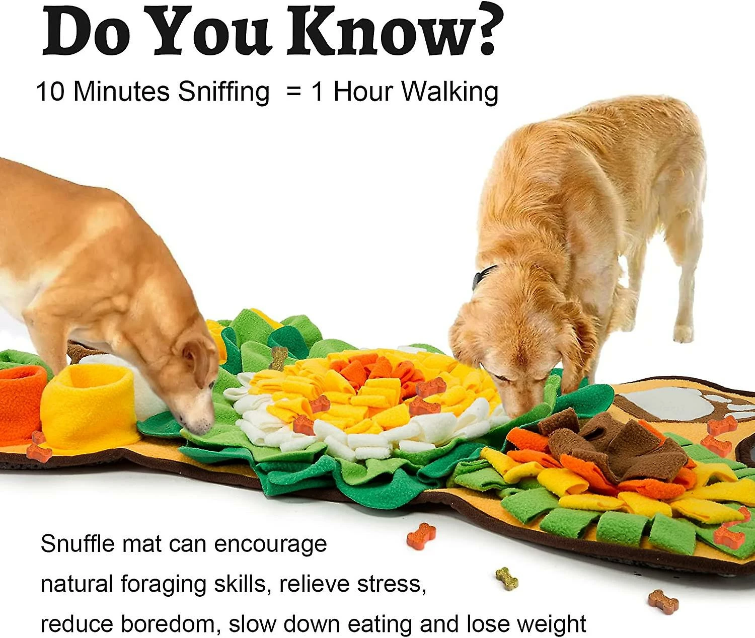 Unbranded Snuffle Mat For Dogs Interactive Pet Puzzle Toys For Puppy Dog Enrichment Toy Mental Stimulation Dog Play Mat For Boredom Stress Relief 5 Unbranded Snuffle Mat For Dogs Interactive Pet Puzzle Toys For Puppy Dog Enrichment Toy Mental Stimulation Dog Play Mat For Boredom Stress Relief – Image 5