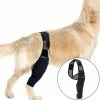 Unbranded Dog Knee Brace For Acl, Knee Cap Dislocation, Arthritis - Keeps The Joint Warm - Extra Support - Reduces Pain And Inflammation -t
