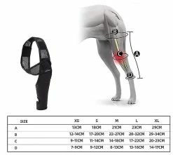 Unbranded Dog Knee Brace For Acl, Knee Cap Dislocation, Arthritis - Keeps The Joint Warm - Extra Support - Reduces Pain And Inflammation -t 5 Unbranded Dog Knee Brace For Acl, Knee Cap Dislocation, Arthritis - Keeps The Joint Warm - Extra Support - Reduces Pain And Inflammation -t -Pet Soin 791239335 max