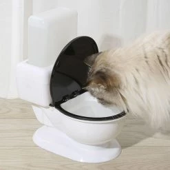 Unbranded Pour Cat Fountain Gravity Dog Water Dispenser 22oz Capacité Super Quiet No Filter 6 Unbranded Pour Cat Fountain Gravity Dog Water Dispenser 22oz Capacité Super Quiet No Filter -Pet Soin 792057207 max
