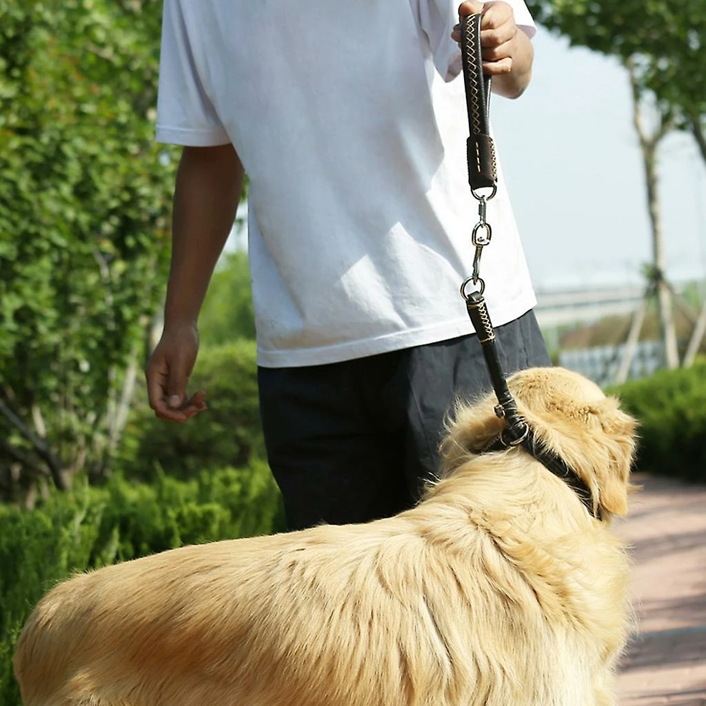 Unbranded Heavy Duty Short Dog Leash Soft Handle Leather Dog Collar Dogs Pet Supplies 2 Unbranded Heavy Duty Short Dog Leash Soft Handle Leather Dog Collar Dogs Pet Supplies – Image 2