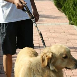 Unbranded Heavy Duty Short Dog Leash Soft Handle Leather Dog Collar Dogs Pet Supplies 7 Unbranded Heavy Duty Short Dog Leash Soft Handle Leather Dog Collar Dogs Pet Supplies -Pet Soin 792059348 max