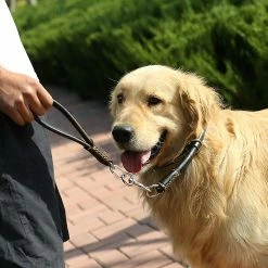 Unbranded Heavy Duty Short Dog Leash Soft Handle Leather Dog Collar Dogs Pet Supplies 8 Unbranded Heavy Duty Short Dog Leash Soft Handle Leather Dog Collar Dogs Pet Supplies -Pet Soin 792059379 max
