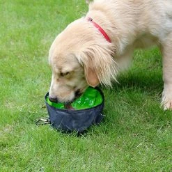 Unbranded 3 Pièces Pliable Dog Travel Bowls Portable Pliable Food Water Feeding Distributeur Avec Fermeture à Glissière Et Crochet D’escalade -Pet Soin 792059468 max