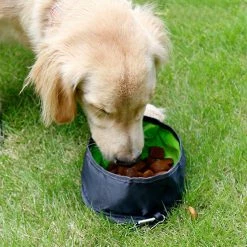 Unbranded 3 Pièces Pliable Dog Travel Bowls Portable Pliable Food Water Feeding Distributeur Avec Fermeture à Glissière Et Crochet D’escalade -Pet Soin 792059508 max