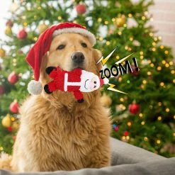 Unbranded Jouets Dog Squeak Stuffed Santa Puppy Noël Chew Toy Pour Petits à Grands Chiens 9 Unbranded Jouets Dog Squeak Stuffed Santa Puppy Noël Chew Toy Pour Petits à Grands Chiens -Pet Soin 792059872 max